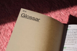 charlie singer-fischer