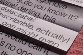 charlie singer-fischer