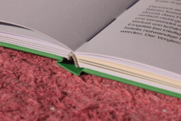 charlie singer-fischer