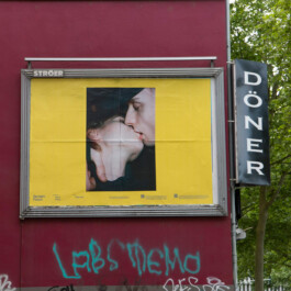 charlie singer-fischer