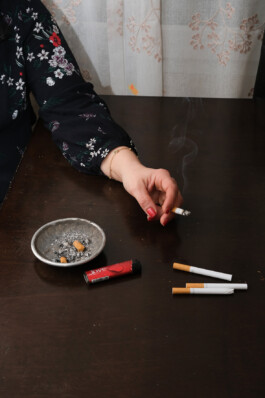 charlie singer-fischer