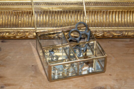 charlie singer-fischer