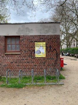 charlie singer-fischer