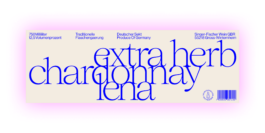 charlie singer-fischer