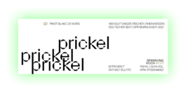 charlie singer-fischer