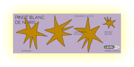 charlie singer-fischer