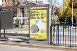 charlie singer-fischer