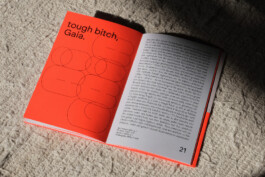 charlie singer-fischer