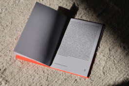 charlie singer-fischer