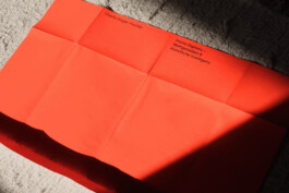 charlie singer-fischer