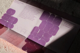 charlie singer-fischer