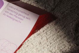 charlie singer-fischer