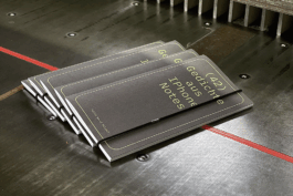 charlie singer-fischer