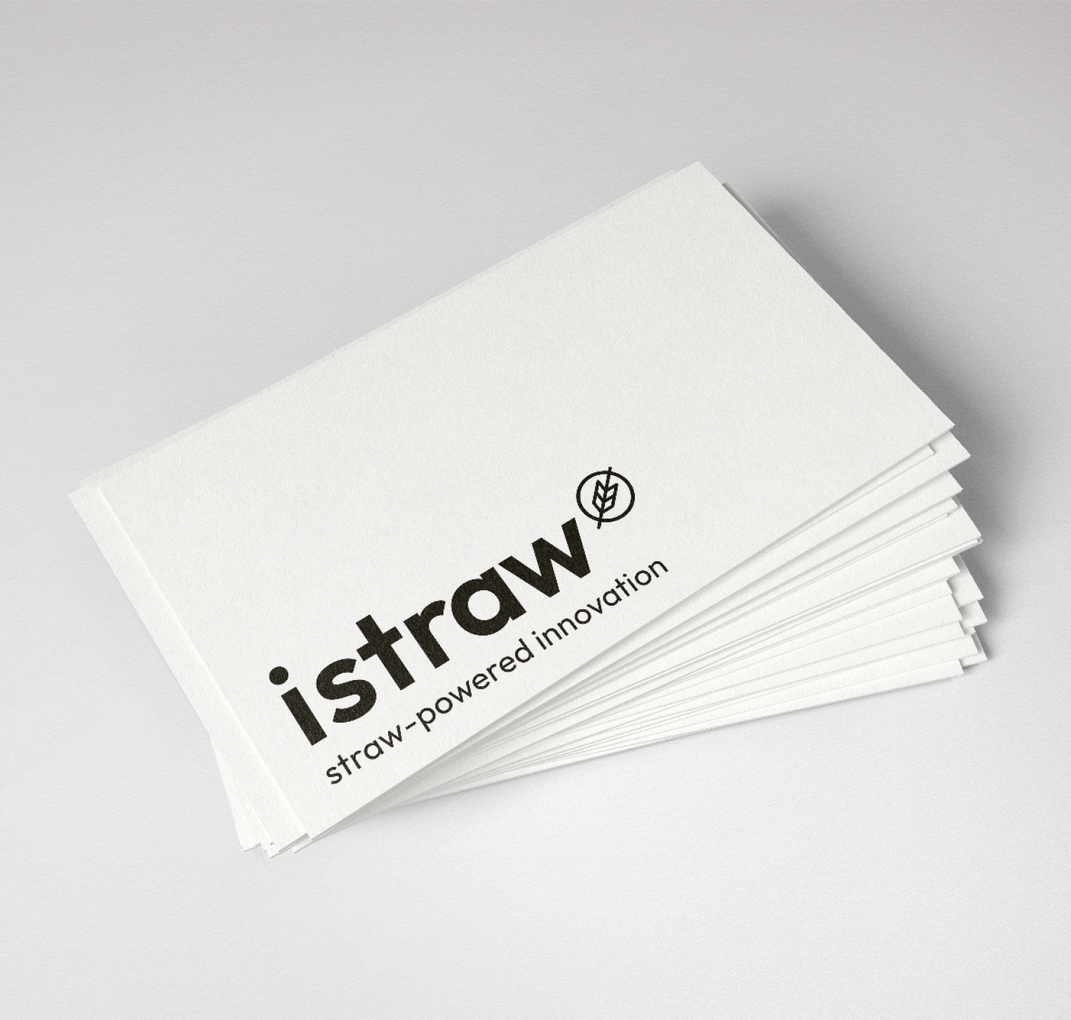 charlie singer-fischer