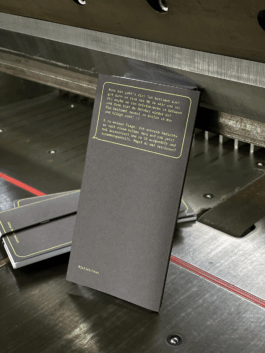 charlie singer-fischer