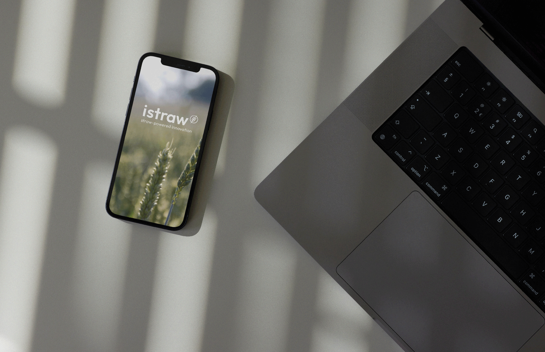 charlie singer-fischer