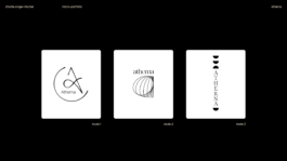 charlie singer-fischer