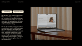 charlie singer-fischer