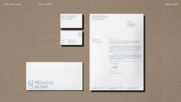 charlie singer-fischer