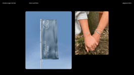 charlie singer-fischer