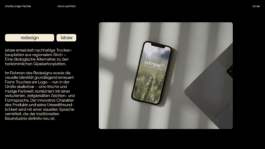 charlie singer-fischer