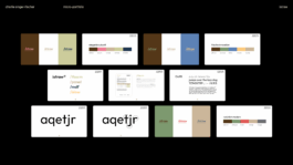 charlie singer-fischer