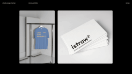 charlie singer-fischer