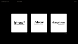 charlie singer-fischer