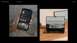 charlie singer-fischer