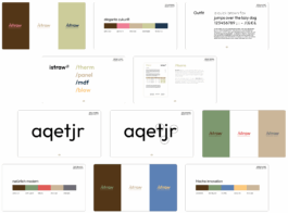 charlie singer-fischer